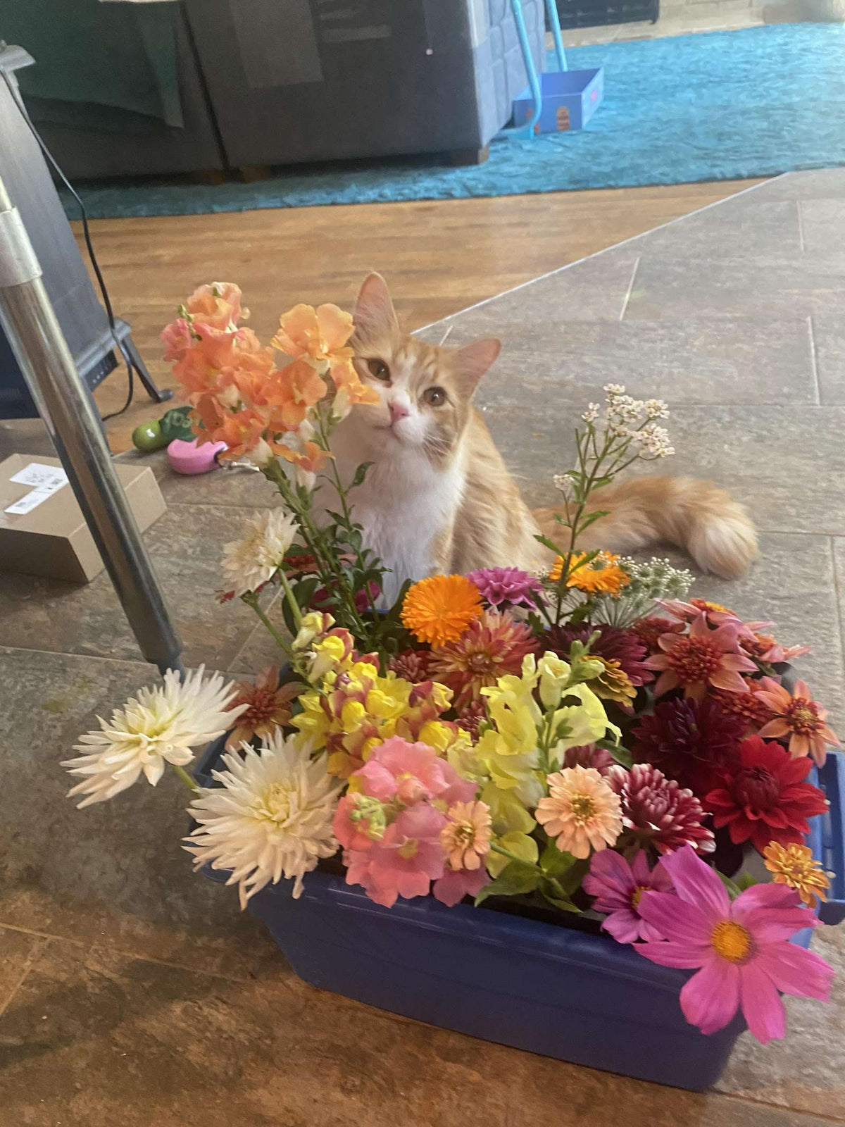 Flower Buckets