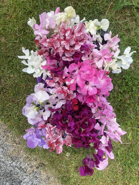 Spring Series - Flower Bouquet